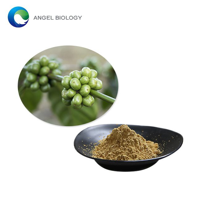 Chlorogenic Acid Powder